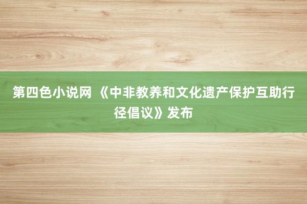 第四色小说网 《中非教养和文化遗产保护互助行径倡议》发布