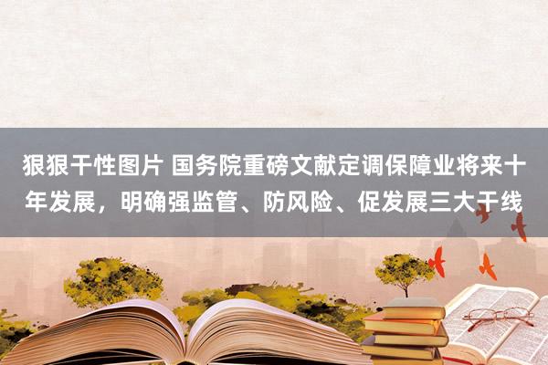 狠狠干性图片 国务院重磅文献定调保障业将来十年发展，明确强监管、防风险、促发展三大干线