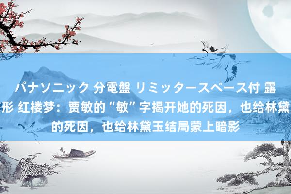 パナソニック 分電盤 リミッタースペース付 露出・半埋込両用形 红楼梦：贾敏的“敏”字揭开她的死因，也给林黛玉结局蒙上暗影