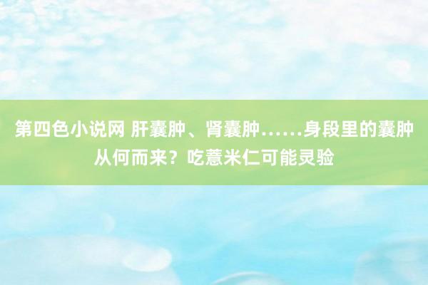 第四色小说网 肝囊肿、肾囊肿……身段里的囊肿从何而来？吃薏米仁可能灵验