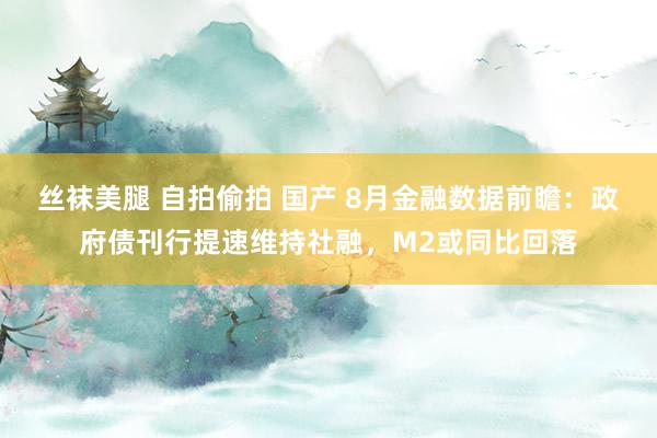 丝袜美腿 自拍偷拍 国产 8月金融数据前瞻：政府债刊行提速维持社融，M2或同比回落