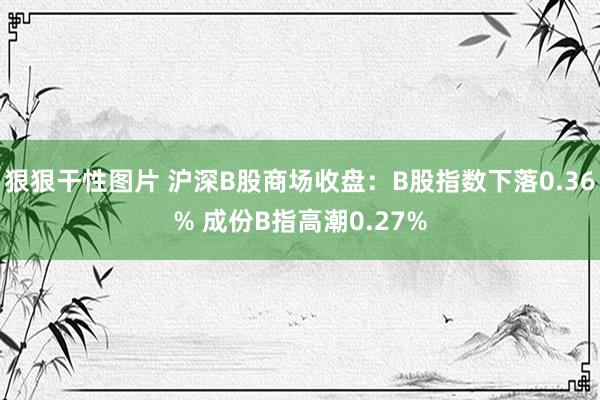 狠狠干性图片 沪深B股商场收盘：B股指数下落0.36% 成份B指高潮0.27%