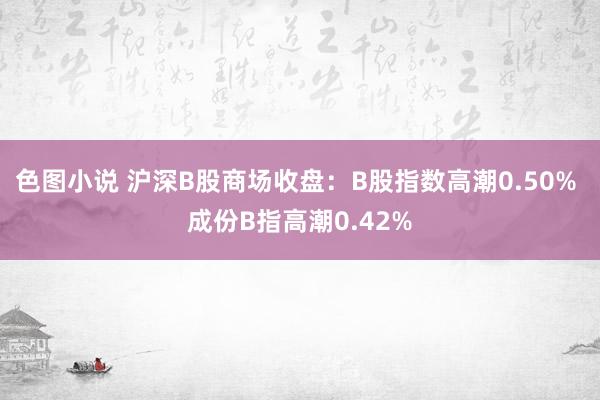 色图小说 沪深B股商场收盘：B股指数高潮0.50% 成份B指高潮0.42%