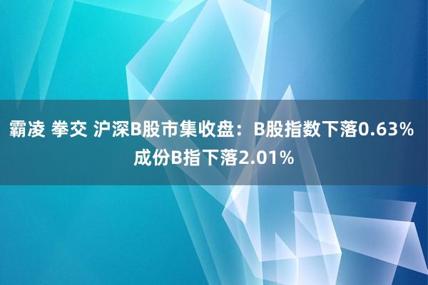 霸凌 拳交 沪深B股市集收盘：B股指数下落0.63% 成份B指下落2.01%