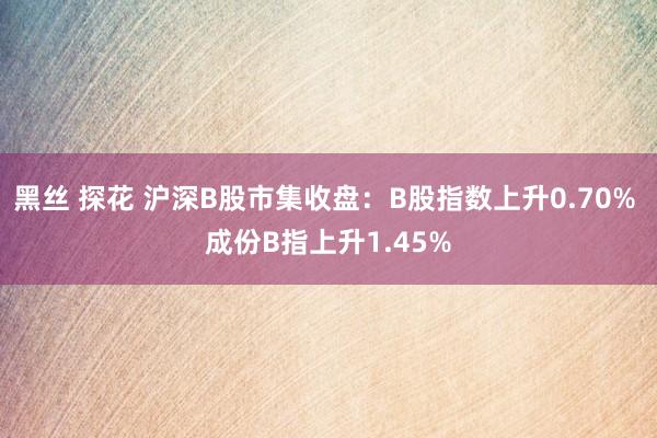 黑丝 探花 沪深B股市集收盘：B股指数上升0.70% 成份B指上升1.45%