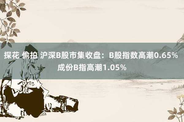 探花 偷拍 沪深B股市集收盘：B股指数高潮0.65% 成份B指高潮1.05%