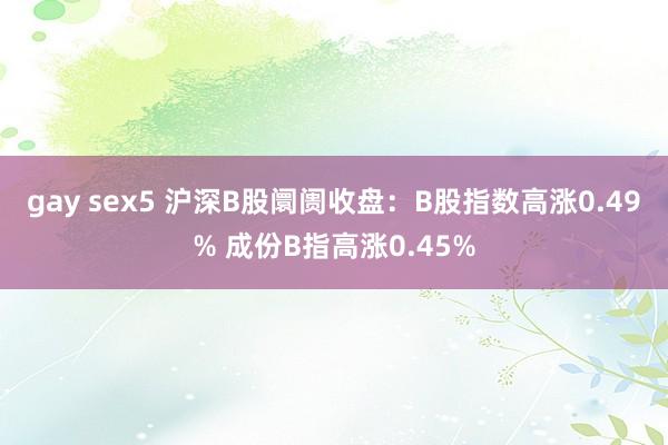 gay sex5 沪深B股阛阓收盘：B股指数高涨0.49% 成份B指高涨0.45%