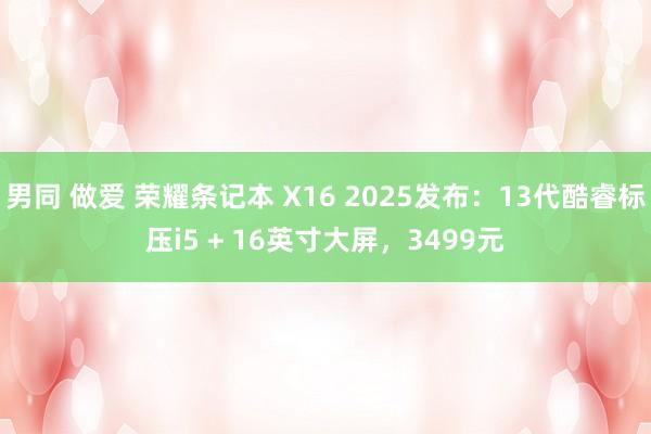 男同 做爱 荣耀条记本 X16 2025发布：13代酷睿标压i5 + 16英寸大屏，3499元