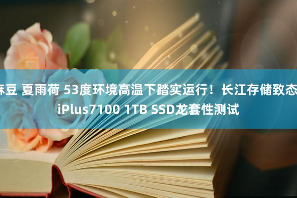 麻豆 夏雨荷 53度环境高温下踏实运行！长江存储致态TiPlus7100 1TB SSD龙套性测试