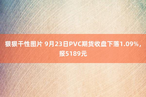 狠狠干性图片 9月23日PVC期货收盘下落1.09%，报5189元