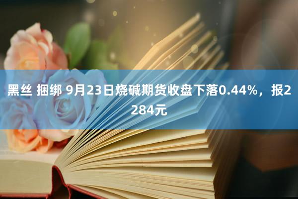 黑丝 捆绑 9月23日烧碱期货收盘下落0.44%，报2284元