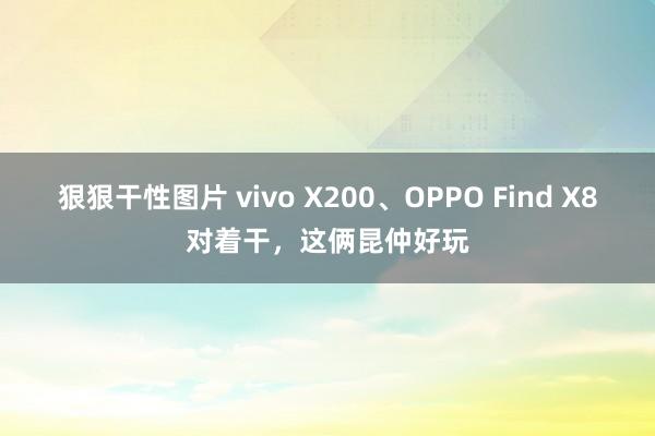 狠狠干性图片 vivo X200、OPPO Find X8对着干，这俩昆仲好玩