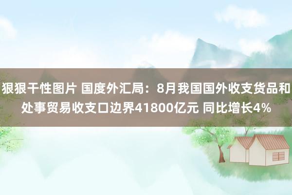 狠狠干性图片 国度外汇局：8月我国国外收支货品和处事贸易收支口边界41800亿元 同比增长4%