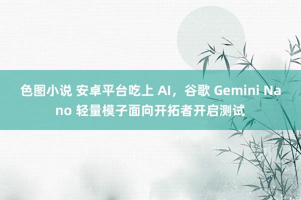 色图小说 安卓平台吃上 AI，谷歌 Gemini Nano 轻量模子面向开拓者开启测试