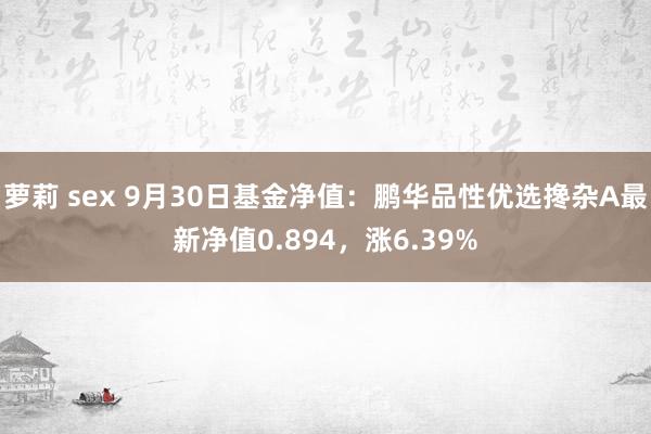 萝莉 sex 9月30日基金净值：鹏华品性优选搀杂A最新净值0.894，涨6.39%