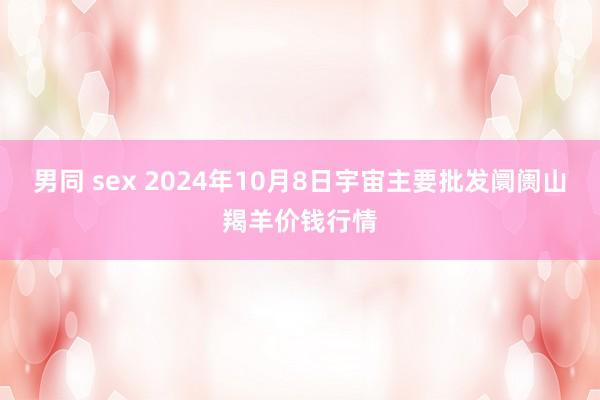 男同 sex 2024年10月8日宇宙主要批发阛阓山羯羊价钱行情