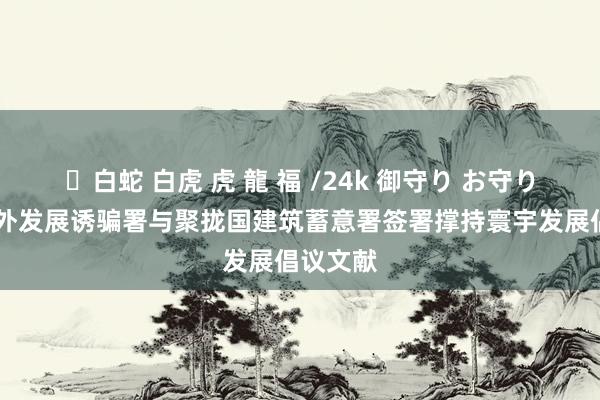 ✨白蛇 白虎 虎 龍 福 /24k 御守り お守り 国度海外发展诱骗署与聚拢国建筑蓄意署签署撑持寰宇发展倡议文献