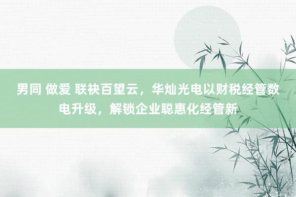 男同 做爱 联袂百望云，华灿光电以财税经管数电升级，解锁企业聪惠化经管新