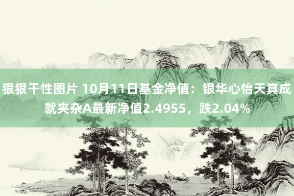 狠狠干性图片 10月11日基金净值：银华心怡天真成就夹杂A最新净值2.4955，跌2.04%