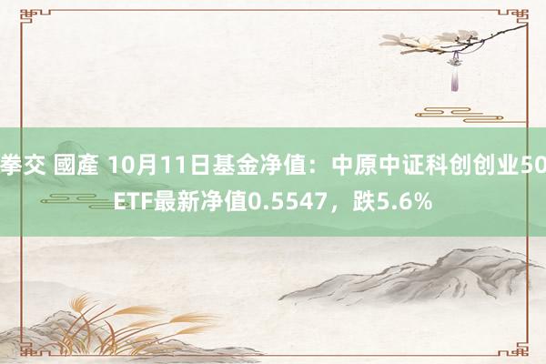 拳交 國產 10月11日基金净值：中原中证科创创业50ETF最新净值0.5547，跌5.6%