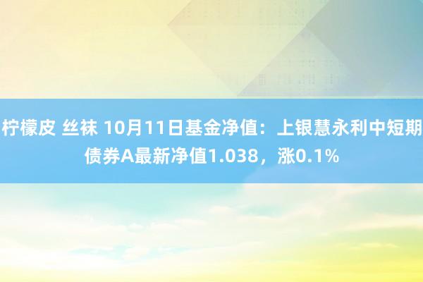 柠檬皮 丝袜 10月11日基金净值：上银慧永利中短期债券A最新净值1.038，涨0.1%