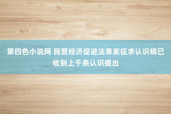 第四色小说网 民营经济促进法草案征求认识稿已收到上千条认识提出