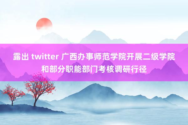 露出 twitter 广西办事师范学院开展二级学院和部分职能部门考核调研行径