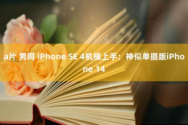 a片 男同 iPhone SE 4机模上手：神似单摄版iPhone 14