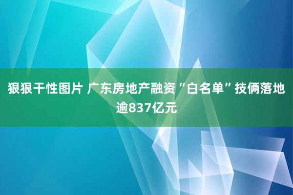 狠狠干性图片 广东房地产融资“白名单”技俩落地逾837亿元