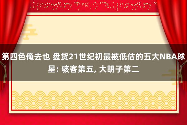 第四色俺去也 盘货21世纪初最被低估的五大NBA球星: 骇客第五， 大胡子第二