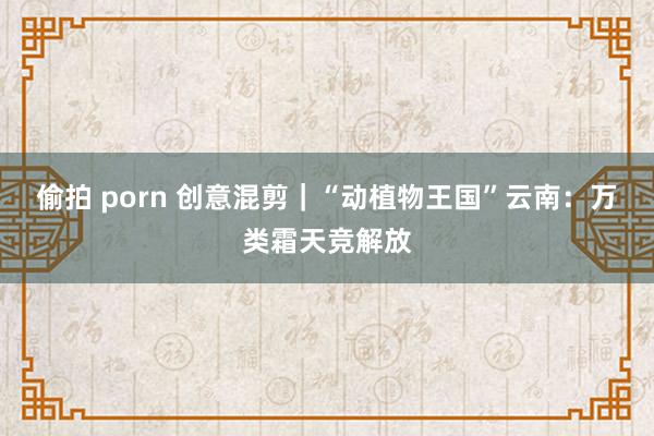 偷拍 porn 创意混剪｜“动植物王国”云南：万类霜天竞解放