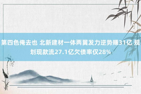 第四色俺去也 北新建材一体两翼发力逆势赚31亿 规划现款流27.1亿欠债率仅28%