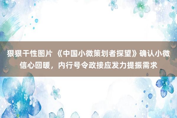 狠狠干性图片 《中国小微策划者探望》确认小微信心回暖，内行号令政接应发力提振需求