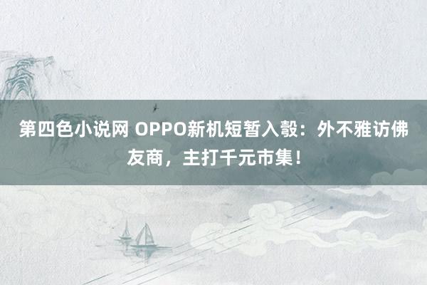 第四色小说网 OPPO新机短暂入彀：外不雅访佛友商，主打千元市集！