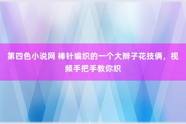 第四色小说网 棒针编织的一个大辫子花技俩，视频手把手教你织