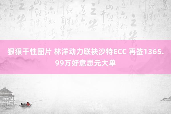 狠狠干性图片 林洋动力联袂沙特ECC 再签1365.99万好意思元大单