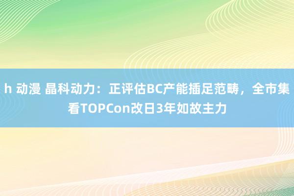 h 动漫 晶科动力：正评估BC产能插足范畴，全市集看TOPCon改日3年如故主力