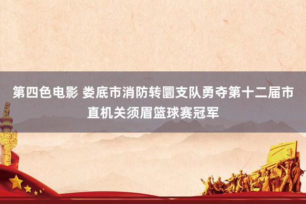 第四色电影 娄底市消防转圜支队勇夺第十二届市直机关须眉篮球赛冠军