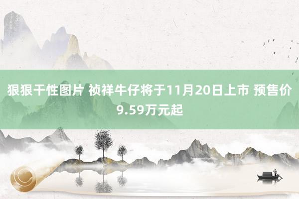 狠狠干性图片 祯祥牛仔将于11月20日上市 预售价9.59万元起