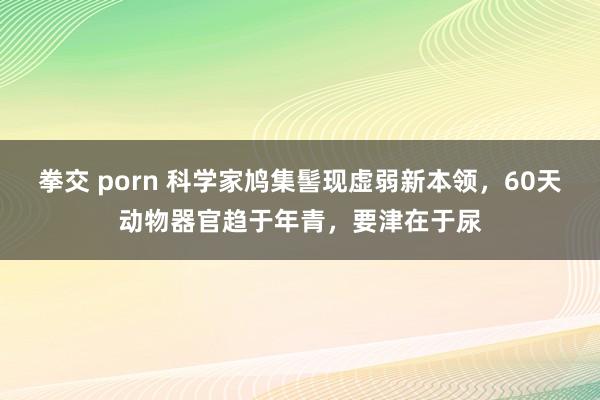 拳交 porn 科学家鸠集髻现虚弱新本领，60天动物器官趋于年青，要津在于尿