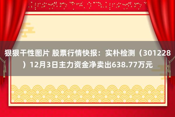 狠狠干性图片 股票行情快报：实朴检测（301228）12月3日主力资金净卖出638.77万元