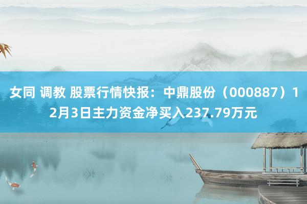 女同 调教 股票行情快报：中鼎股份（000887）12月3日主力资金净买入237.79万元