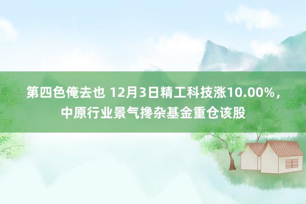 第四色俺去也 12月3日精工科技涨10.00%，中原行业景气搀杂基金重仓该股