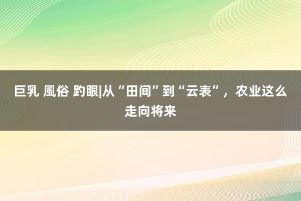 巨乳 風俗 趵眼|从“田间”到“云表”，农业这么走向将来