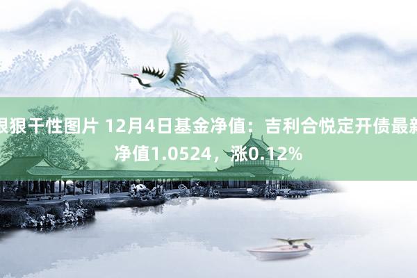 狠狠干性图片 12月4日基金净值：吉利合悦定开债最新净值1.0524，涨0.12%