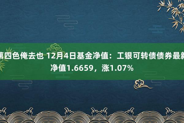 第四色俺去也 12月4日基金净值：工银可转债债券最新净值1.6659，涨1.07%