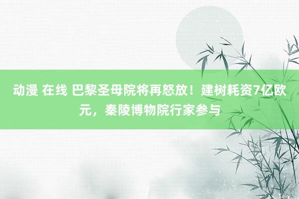 动漫 在线 巴黎圣母院将再怒放！建树耗资7亿欧元，秦陵博物院行家参与