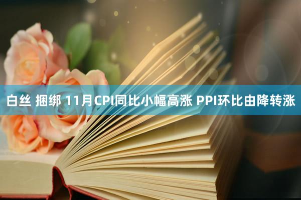 白丝 捆绑 11月CPI同比小幅高涨 PPI环比由降转涨