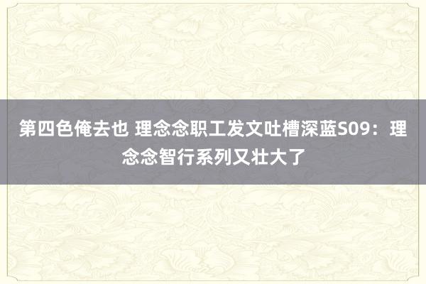 第四色俺去也 理念念职工发文吐槽深蓝S09：理念念智行系列又壮大了