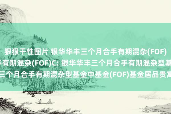 狠狠干性图片 银华华丰三个月合手有期混杂(FOF)A，银华华丰三个月合手有期混杂(FOF)C: 银华华丰三个月合手有期混杂型基金中基金(FOF)基金居品贵寓纲目